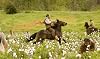 Django Unchained (Blu-ray)