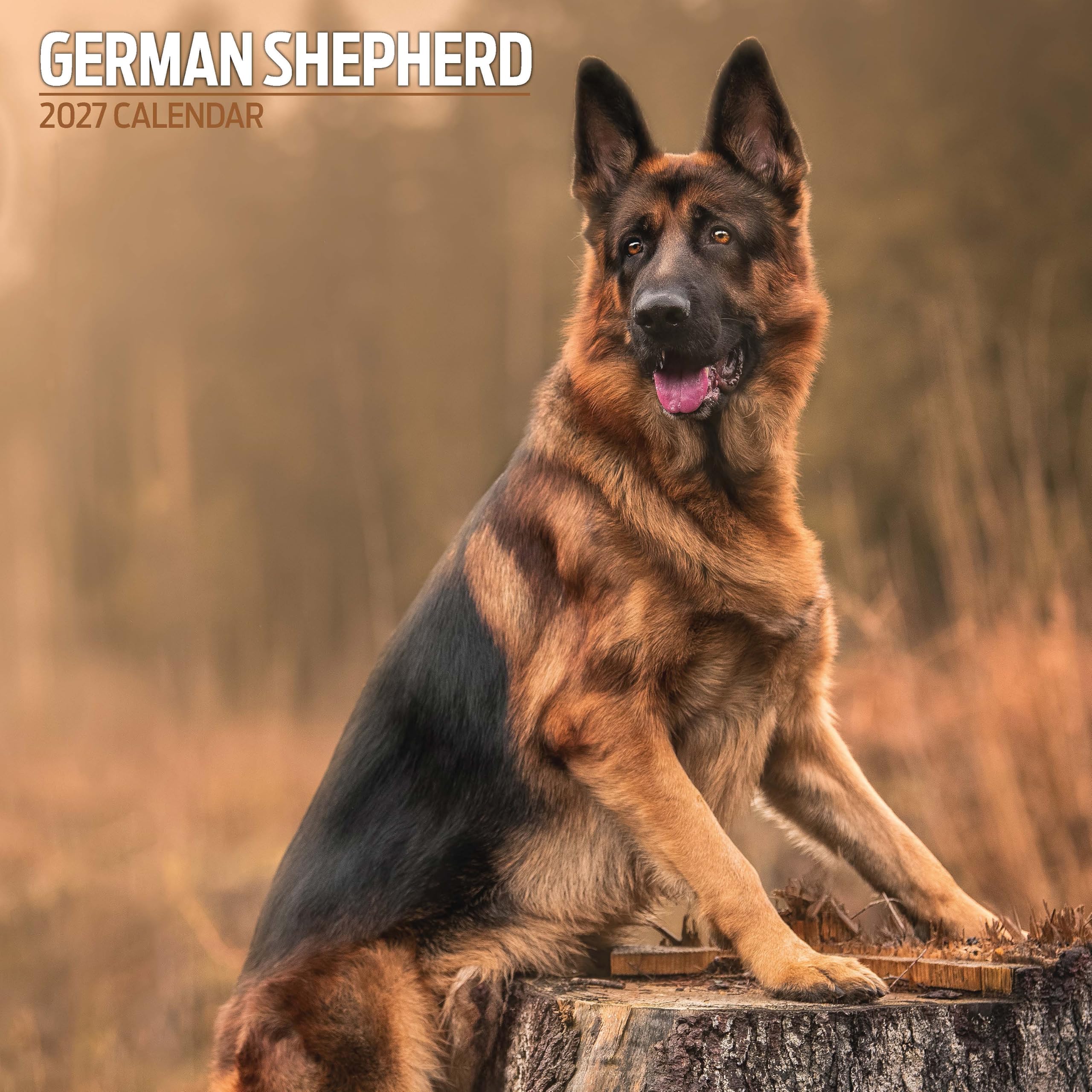 German Shepherd 2027 Traditional Calendar