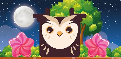 Owl Block – vue 3