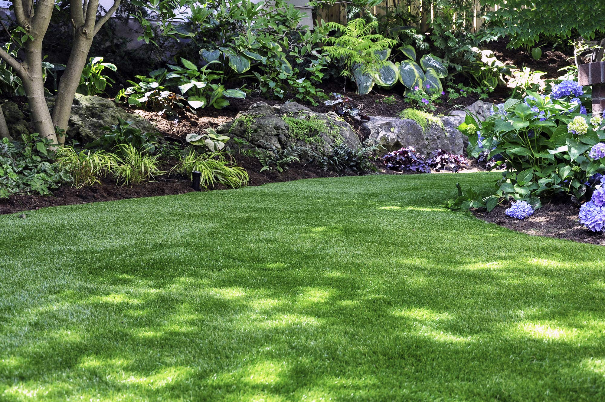 Césped Artificial TORONTO, 18.900 Puntadas, 6.700Dtex, Rollo 2x5m altura 30 mm para Exterior e Interior, Niños y Perros (2x5m de 30mm)