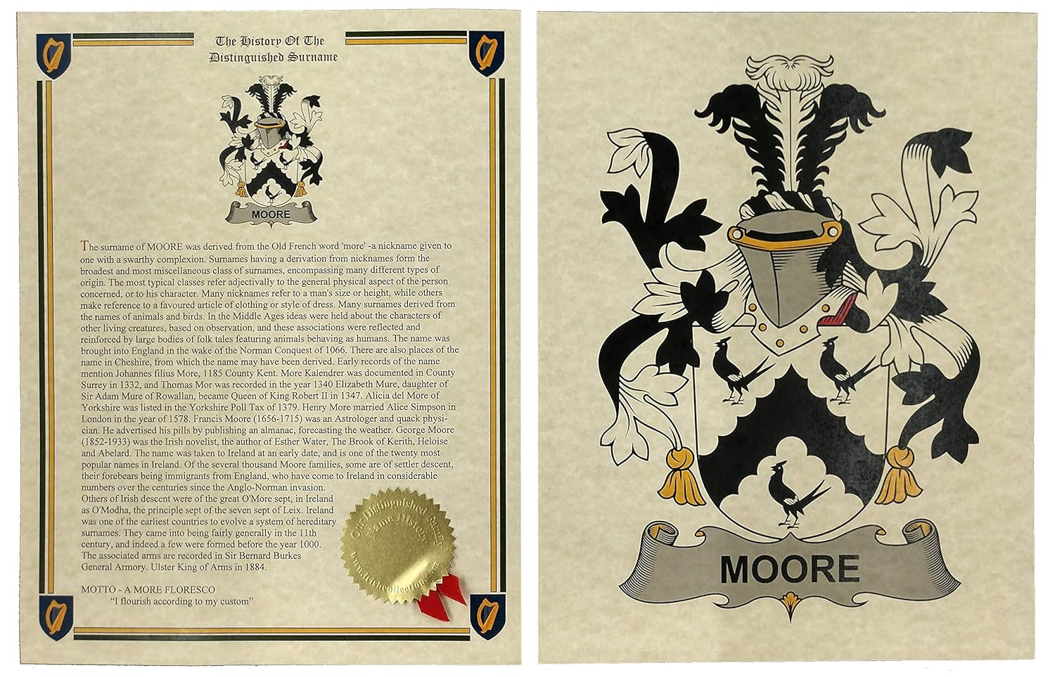 Amazon.com: Moore - Coat of Arms and Last Name History - 8.5x11 Print ...