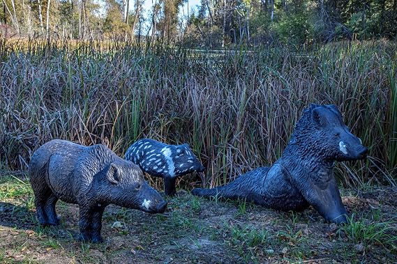 Rinehart Competition 3D Javelina Peccary Archery Target, Self-Healing Foam