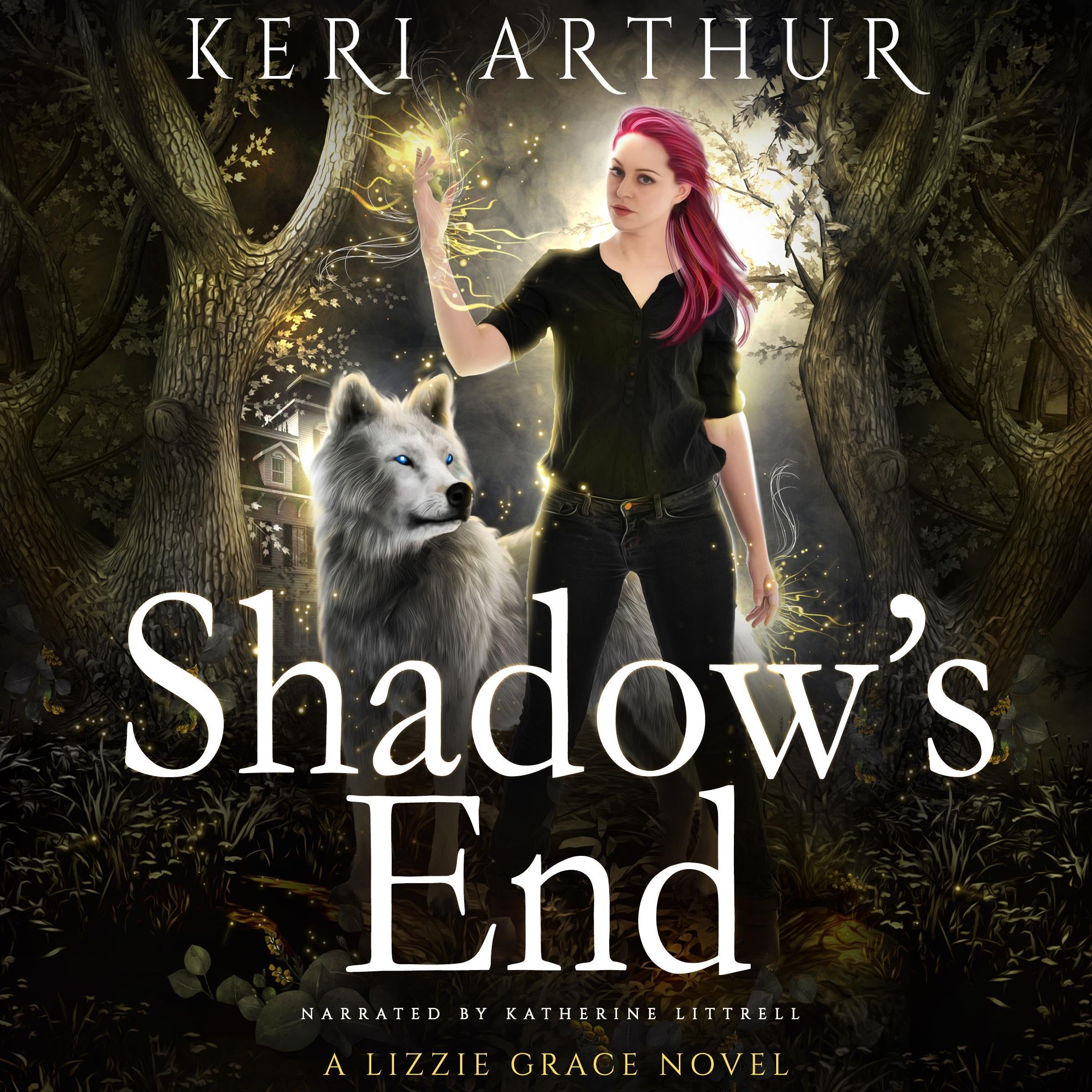 Cover art for Shadow's End