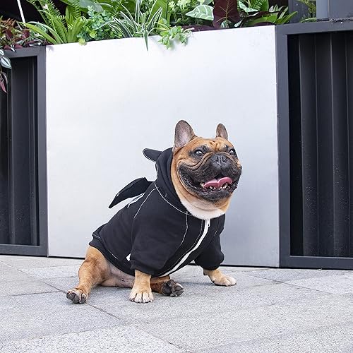 Miniatura 2 de iChoue - Disfraz de murciélago para perro, para el día de Halloween, suéter lindo y divertido para clima frío, abrigos de invierno, sudaderas con