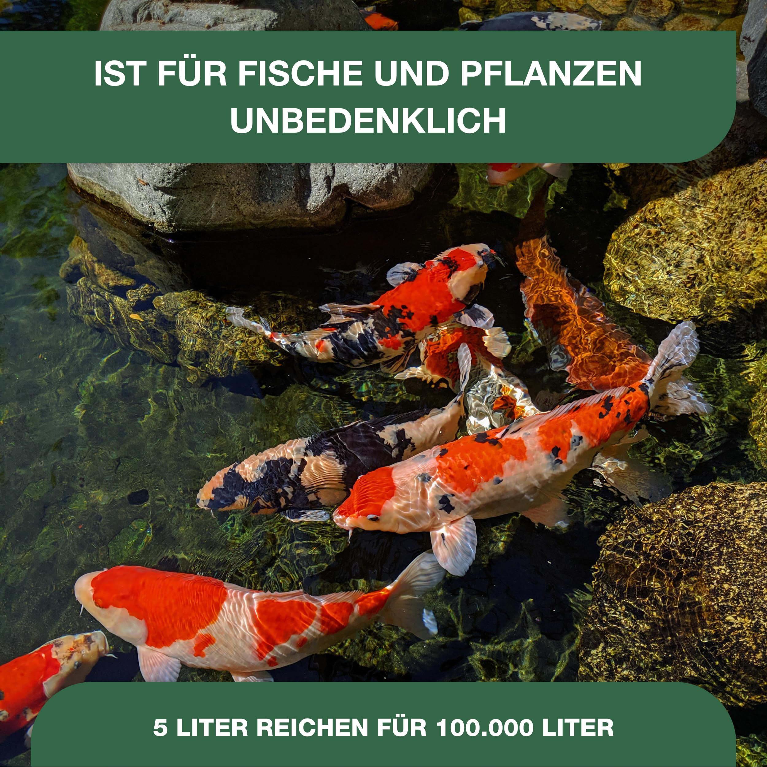 Teichpoint Grünes Wasser Liquid - flüssiger Schwebealgen verdränger auch im Schwimmbad Pool oder Aquarium (5 Liter)