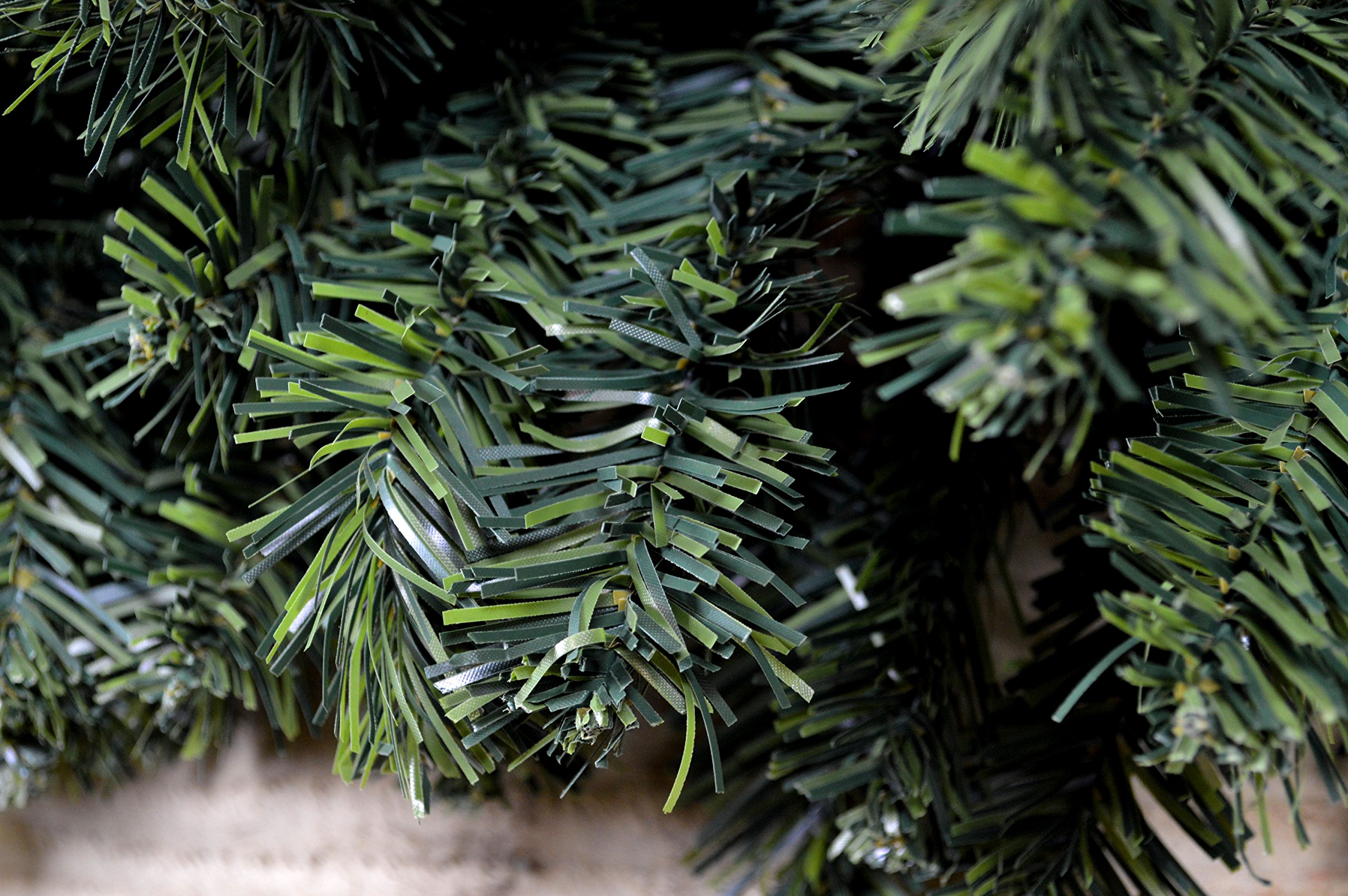 Branca Di Araucaria Evergreen Conifer Con Aghi Morbidi Coltivati in Un