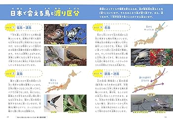 鳥のしぐさ・行動よみとき図鑑: 9784862556660: Books - Amazon.ca