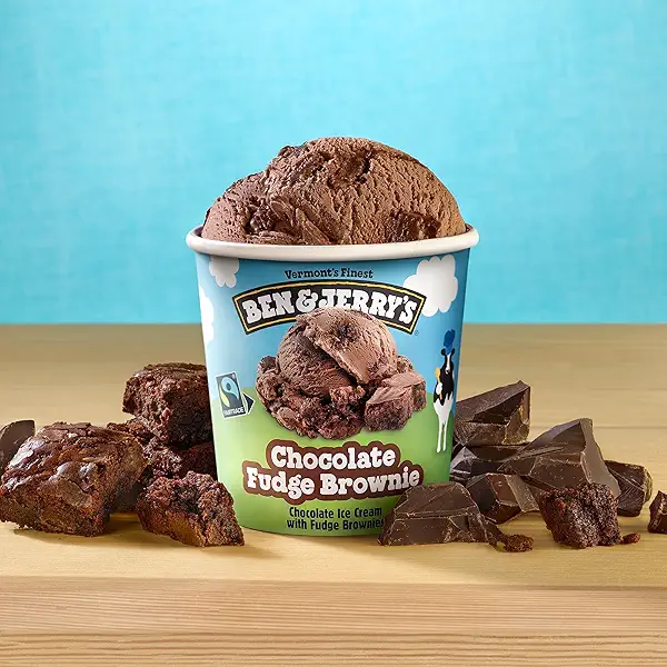 Ben & Jerry's Ice Cream Chocolate Fudge Brownie 16 oz 6