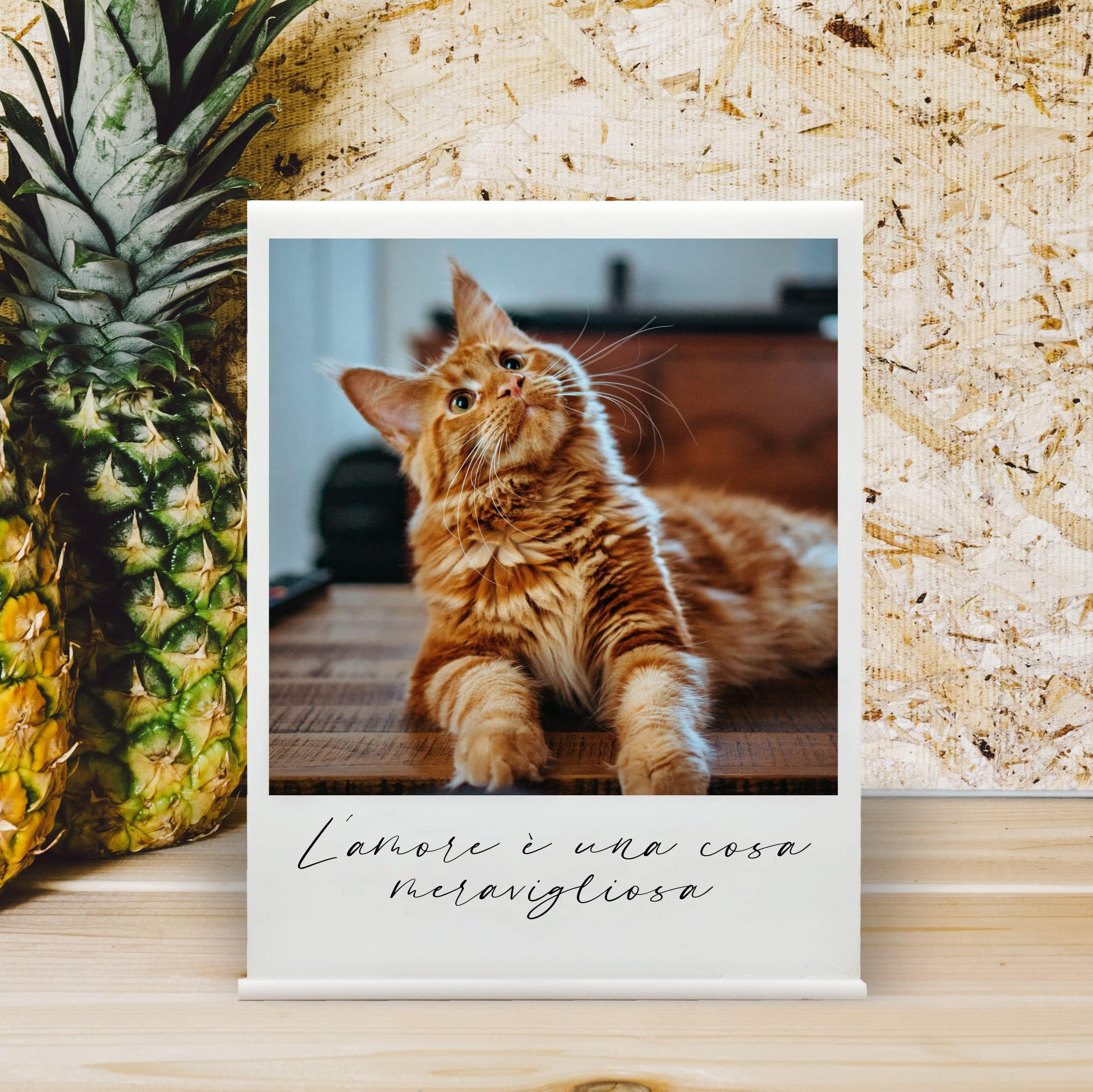 Targa In Legno Personalizzata Con Foto Del Tuo Animale | Incisione A Pirografo Su Pioppo | Idea Regalo Unica 100% Made In Italy