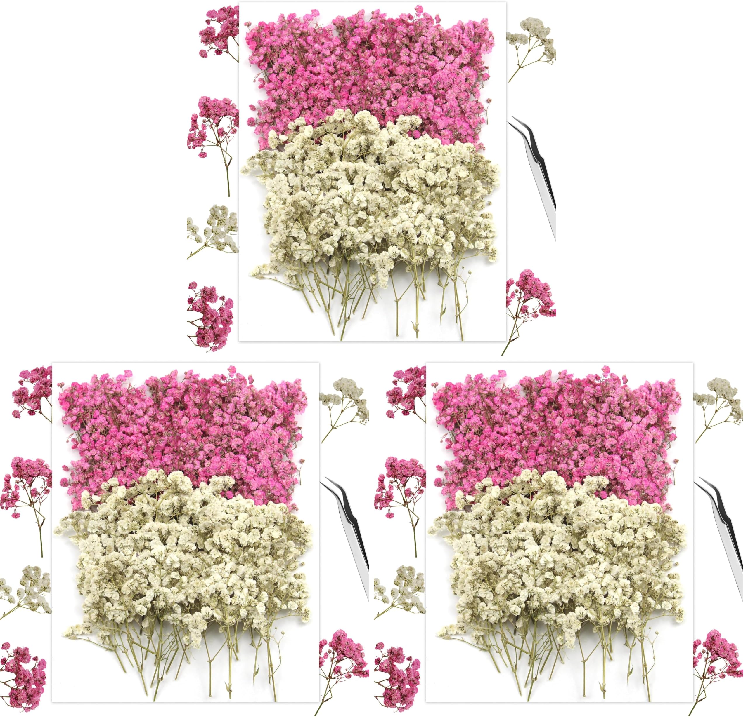 Gypsophila 120pz Gypsophila Essiccata Bianco Rosa Fiori Secchi Fiori (Confezione da 3)