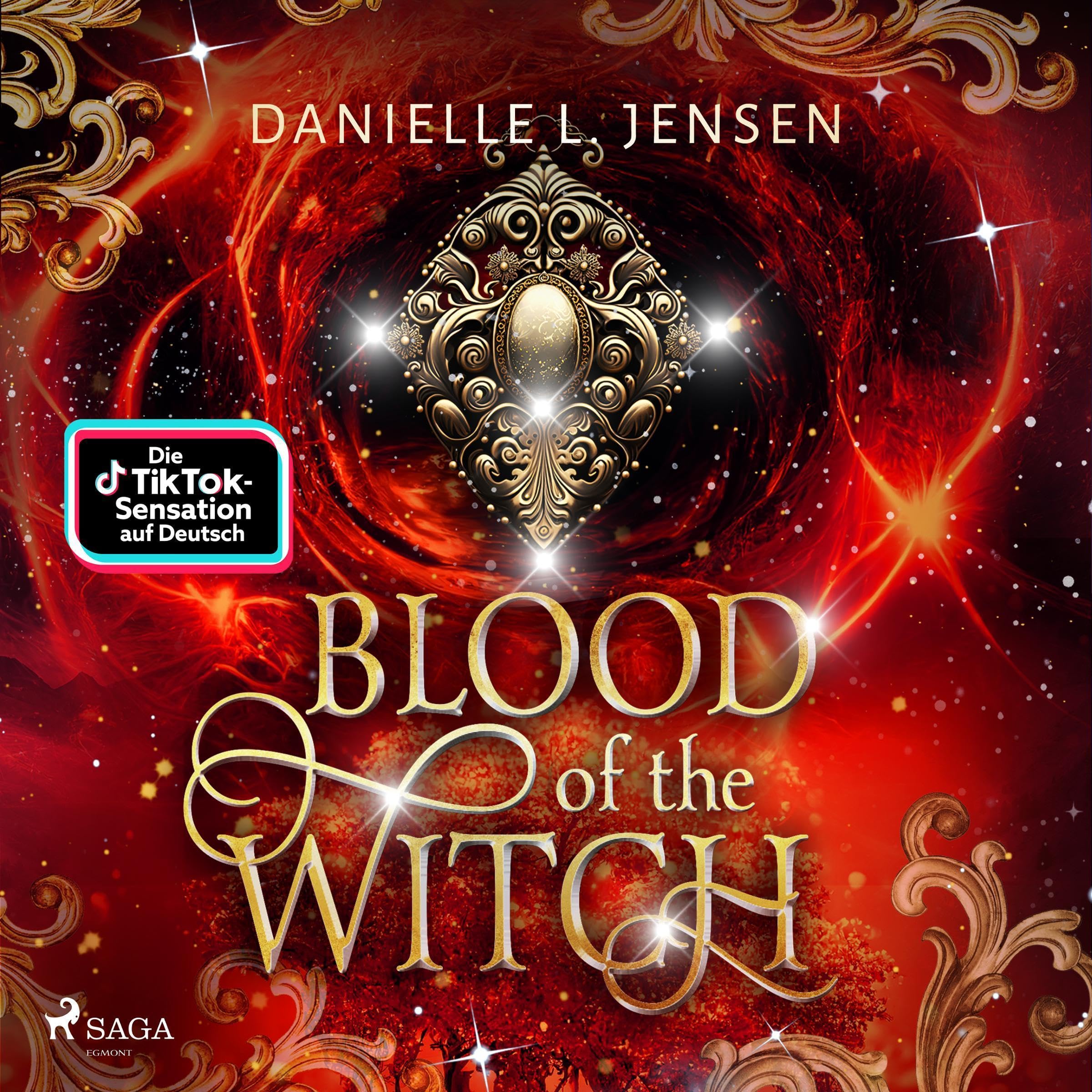 Cover art for Blood of the Witch