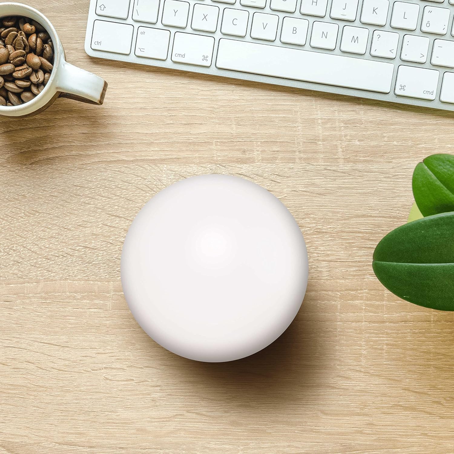 Stress Balls for Adults, 10 pack, Hand Exercise, Perfect For Your Desk, Office, or Home, White