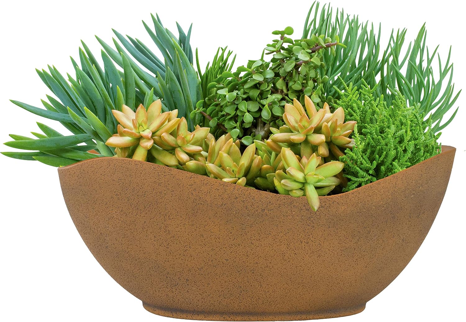 Classic Home and Garden Arc Pot 12" - Georgia Clay