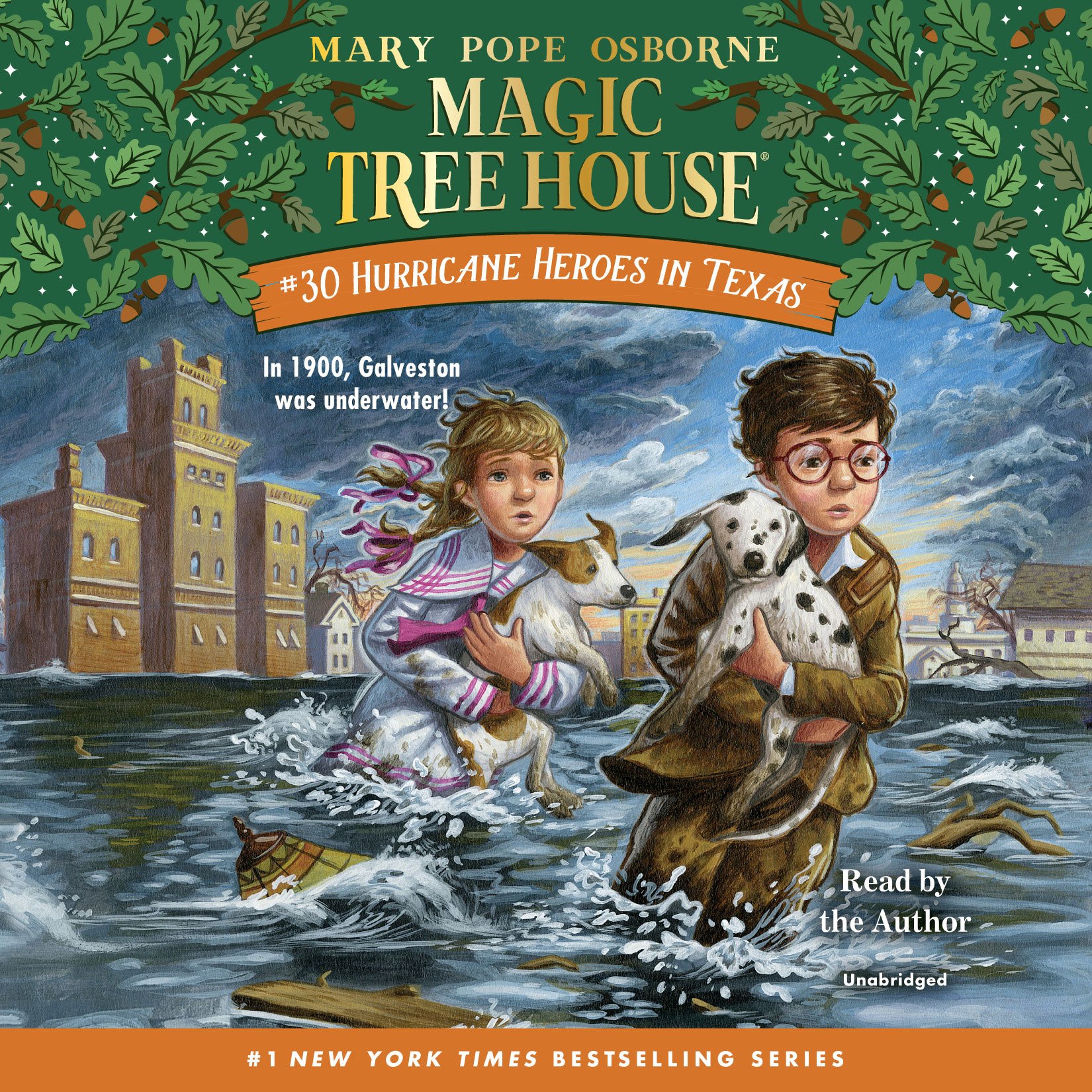 Cover art for Hurricane Heroes in Texas