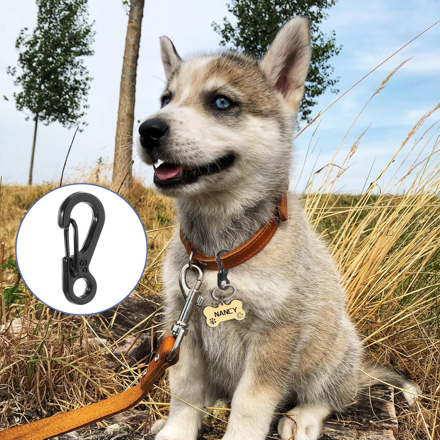 12 Pcs Tiny Carabiner Clip Metal Small Spring Snap Hooks, 1 inch Key Chain Clip Hooks Metal Swivel Clasps Lanyard Snap Hook Carabiners for Camera Strap, Backpack Keychains Accessories - Image 5