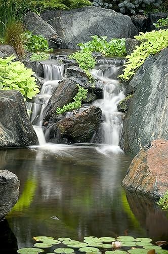 Miniatura 4 de Aquascape Limpiador de lodos Tratamiento de Agua para Estanques, Grado Pro Contratista, Líquido, 1 Galón/3.78 L | 30408