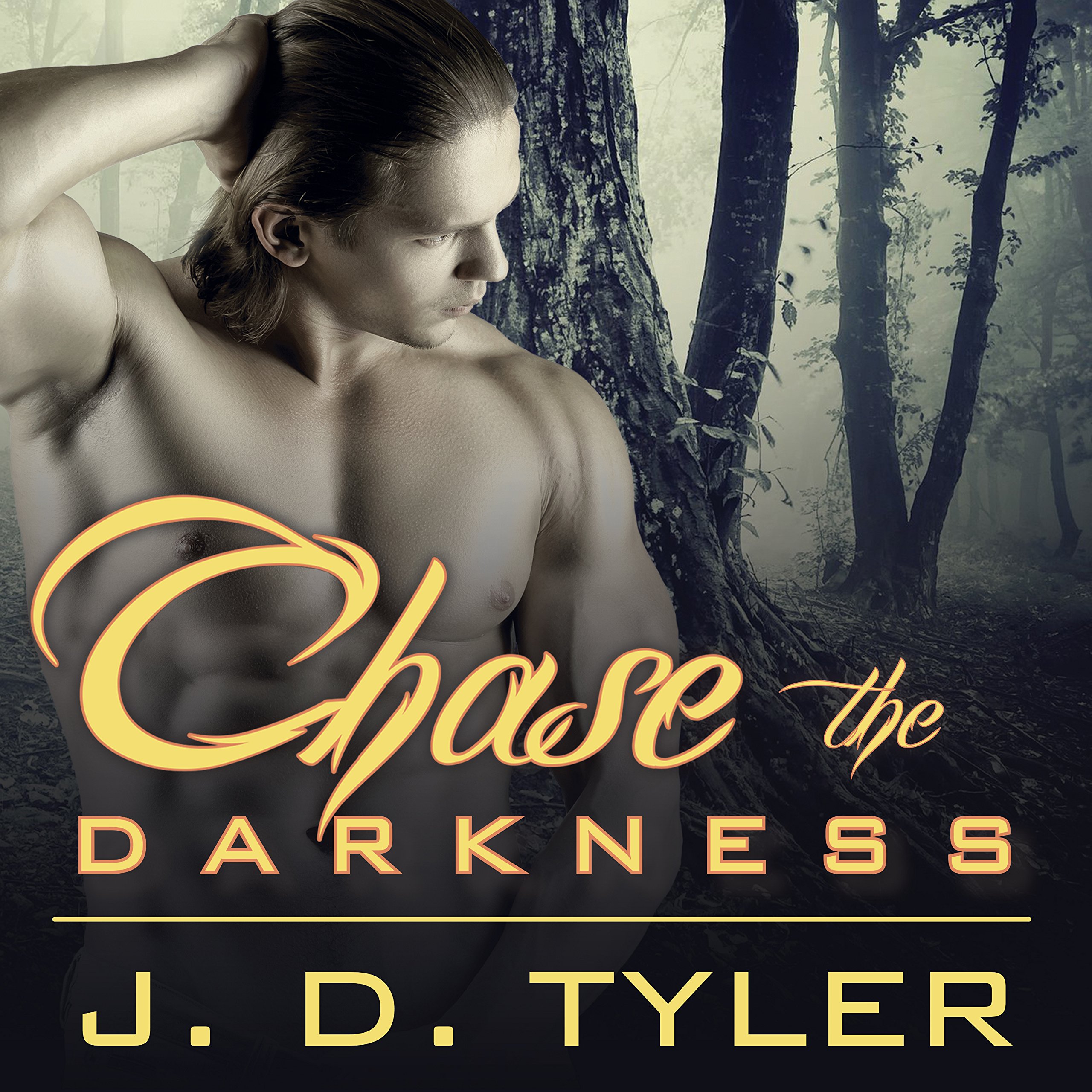 Cover art for Chase the Darkness