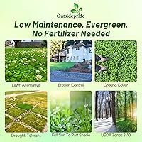 Outsidepride 5 lb Nitrocoated White Dutch Clover Seeds - Perennial Lawn Alternative, Erosion Control, Ground Cover, USDA Zones 3-10