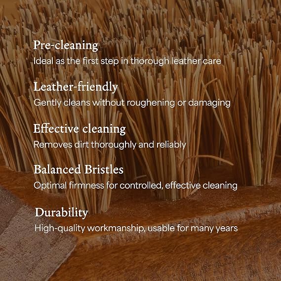 Langer & Messmer Shoe Brush for Cleaning Heavily Dirty Shoes