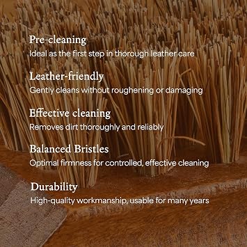 Langer & Messmer Shoe Brush for Cleaning Heavily Dirty Shoes
