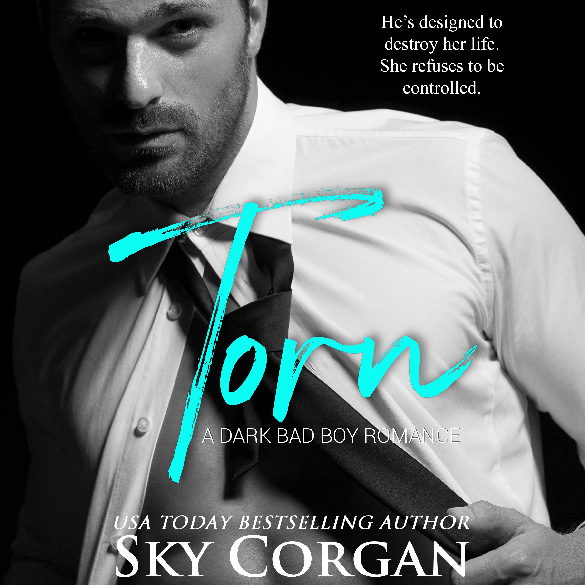 Torn: A Dark Bad Boy Romance