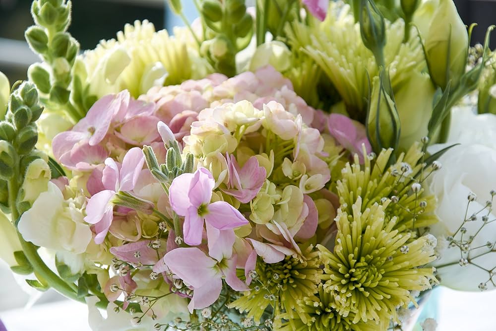 Amazon.co.jp: TAMRON 高倍率ズームレンズ 18-200mm F3.5-6.3