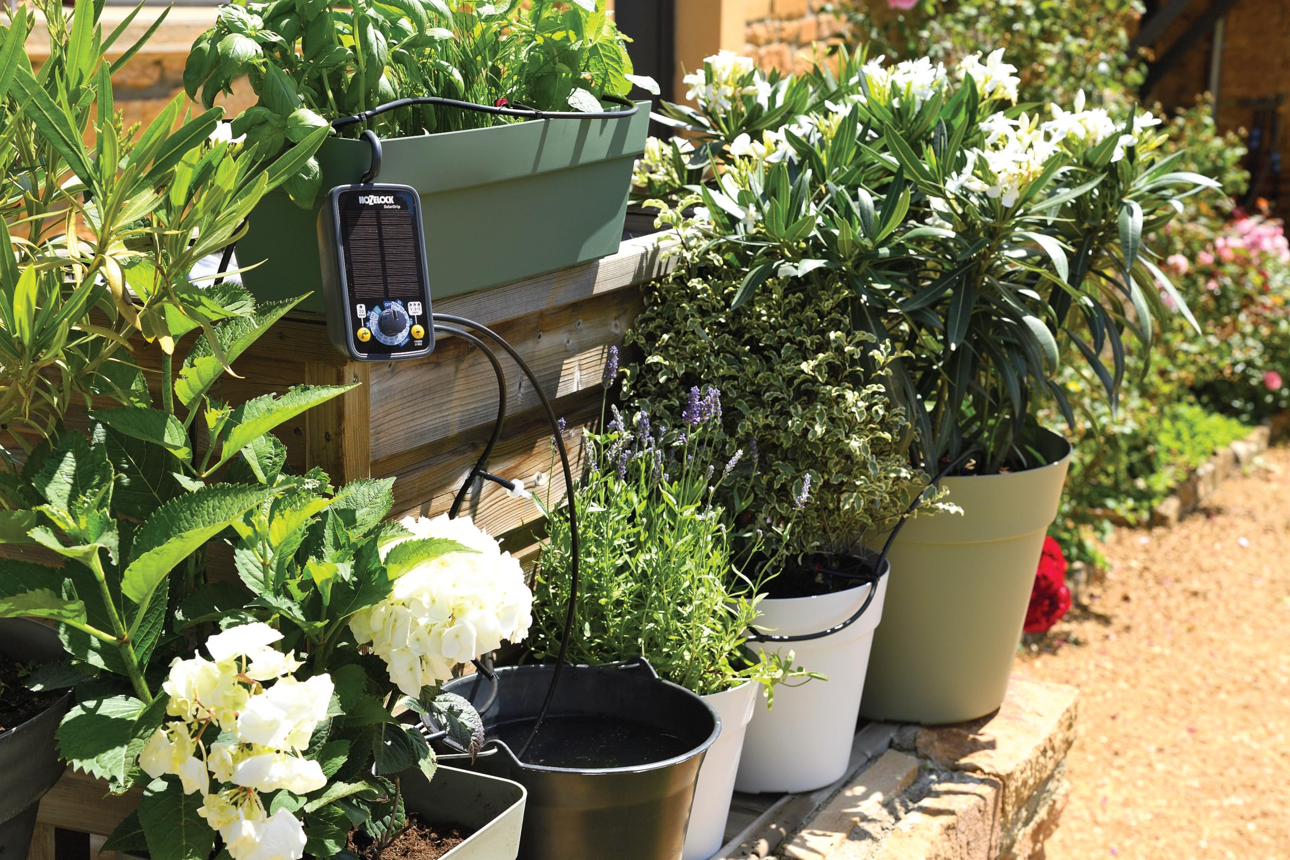 HOZELOCK - Solar Select Controller, kit di irrigazione automatica a energia solare per un massimo di 20 vasi, sistema di irrigazione a goccia con tubo da 20 m, 13 programmi preimpostati, irrigazione
