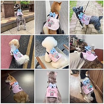 わんちゃん ユニ・チャーム マナーウェア 女の子用 Sサイズ ベージュ