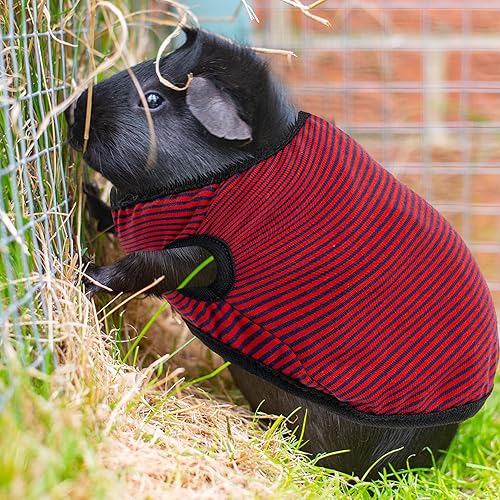 Miniatura 4 de ALUZAEMO Ropa de conejillo de indias, paquete de 2 lindos chalecos de animales pequeños para rata, conejo, chinchila, hurón, gatito, chihuahua,