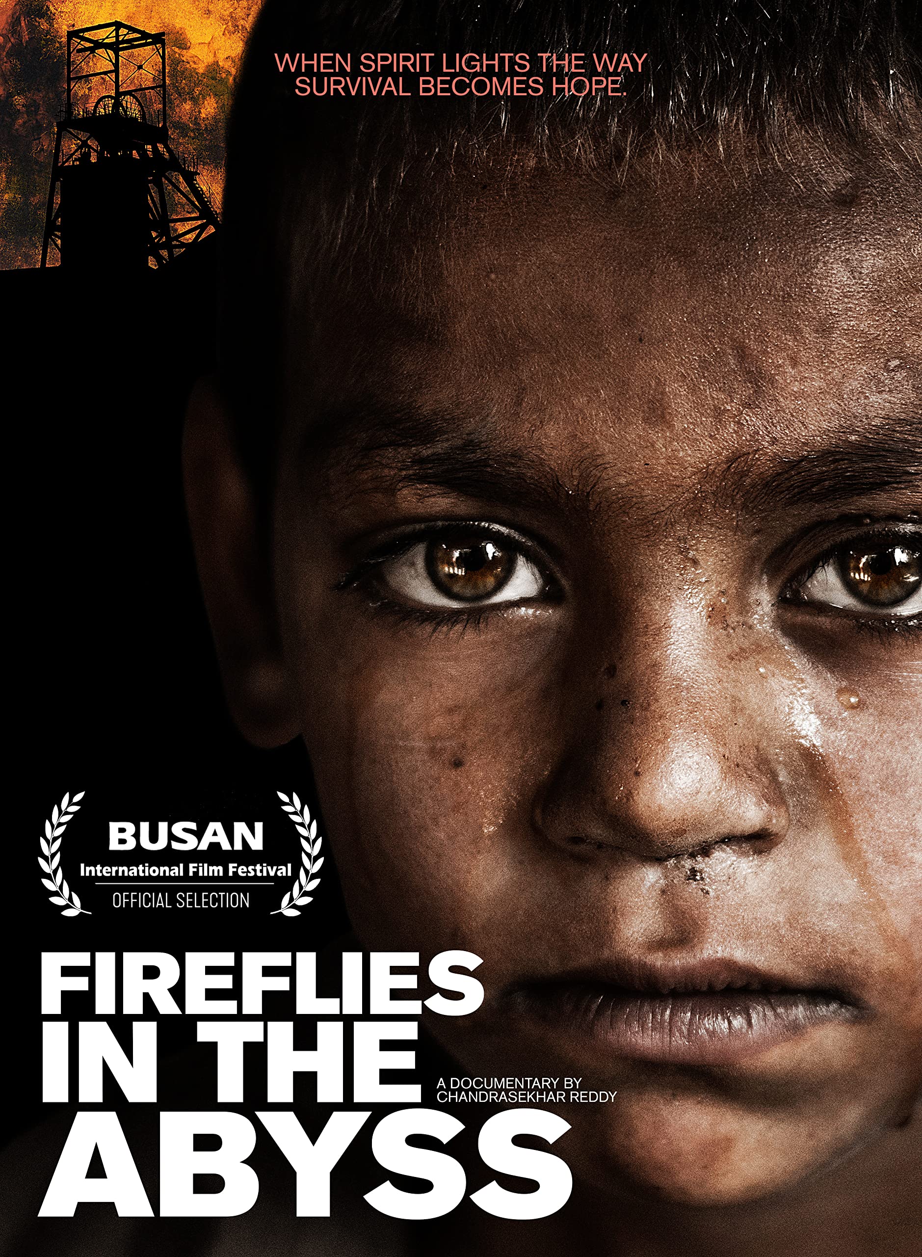 Fireflies In The Abyss USA DVD de importación en formato original para cinéfilos