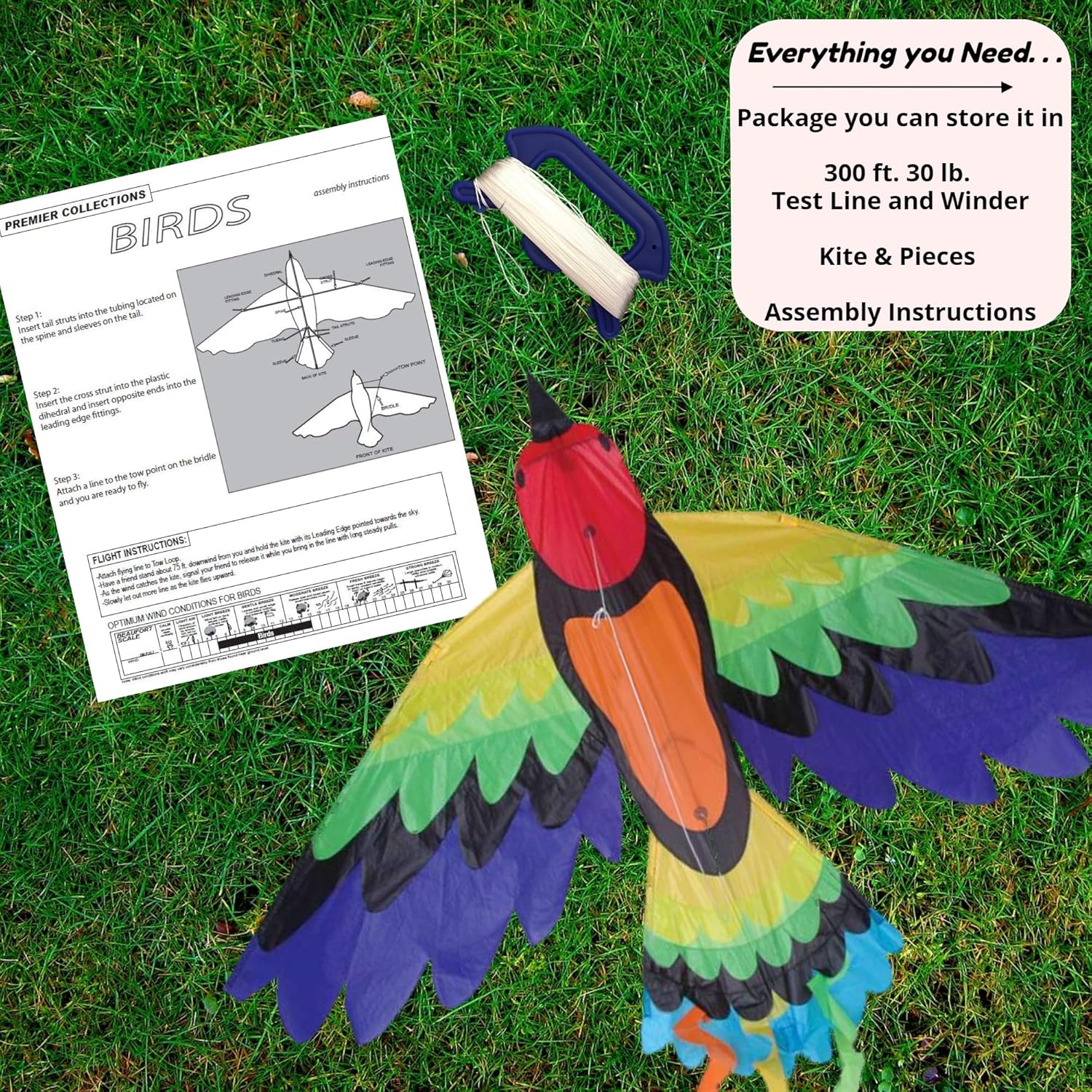 Premier Kites Rainbow Bird Kite are Great Kites for Adults and Easy to Fly Kites for Kids | A Large Kite with a 70 Inch Wingspan and a 36 Inch Body with Bold Colors and Detailed Applique Work