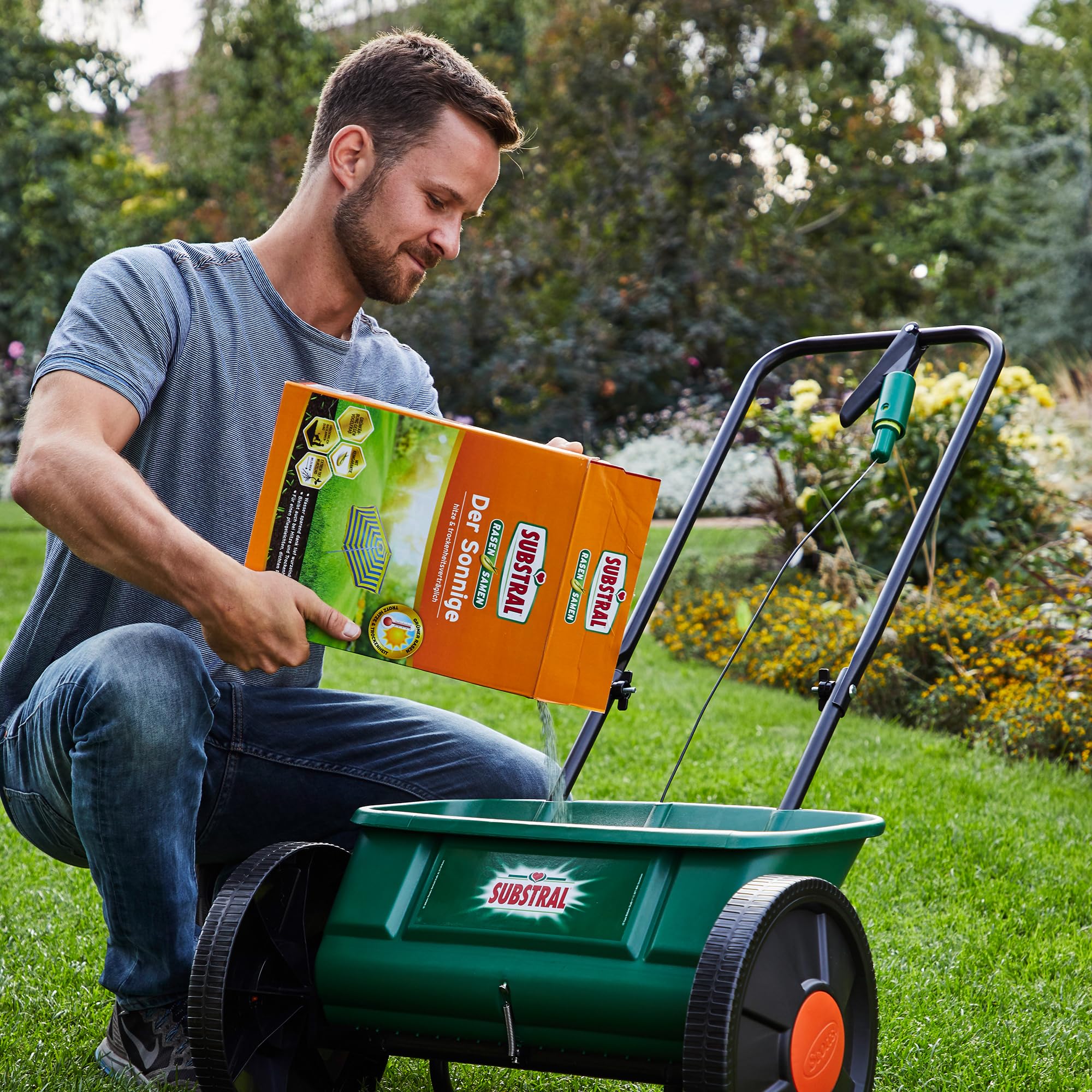 Substral Nasiona trawnika słoneczny, suchy trawnik, wysokiej jakości mieszanka nasion trawnika do miejsc słonecznych i suchych, składane pudełko 2,25 kg