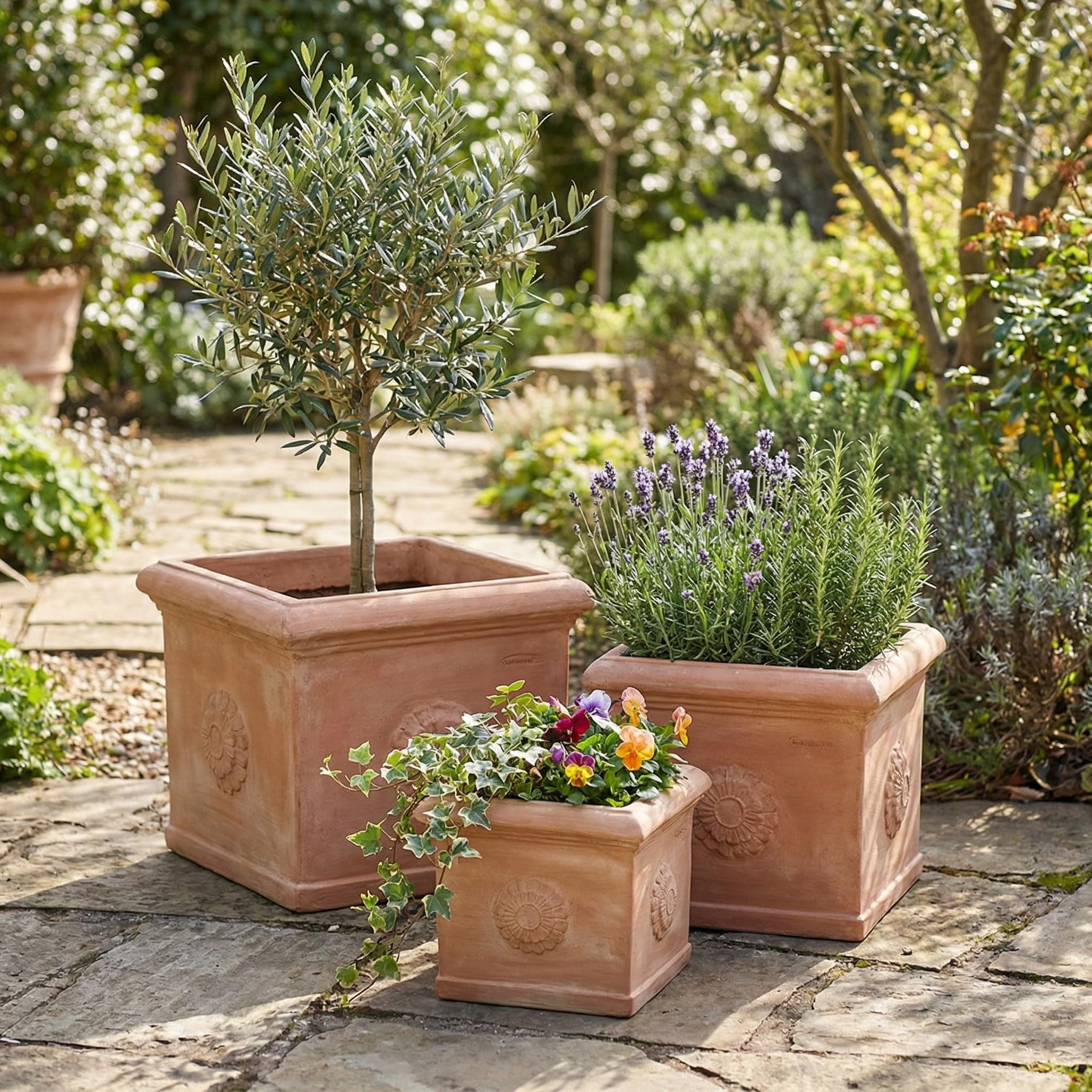 teramico Pot de Fleurs Cubo Con Rosone fabriqué à la Main en Terre Cuite d'origine résistant au Gel (25 cm)