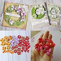 Vista 3 de 8 plantillas troqueladas de metal con diseño de flores, para manualidades, álbumes de recortes, troqueles decorativos de papel para hacer tarjetas