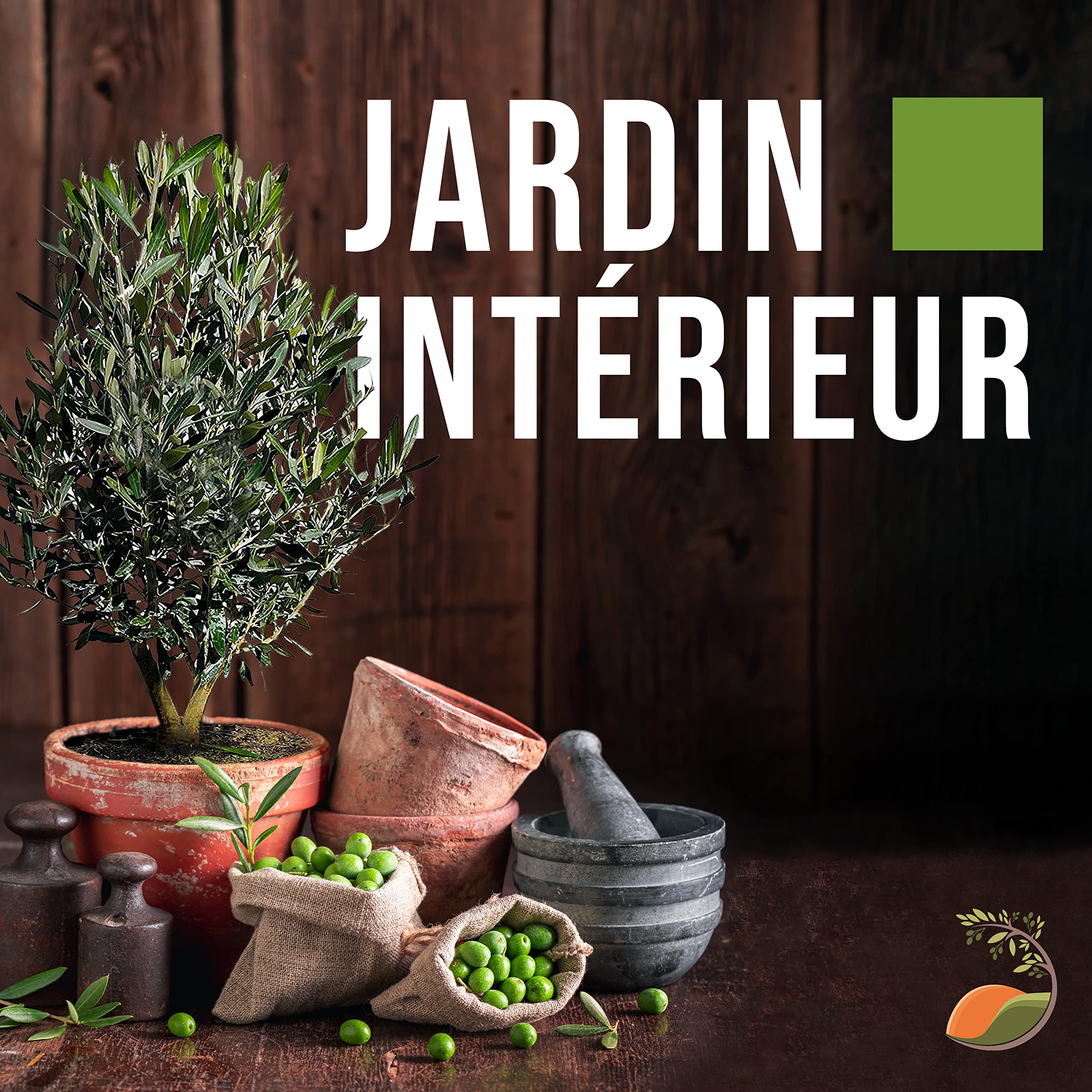 Tropictrees Olivier haute tige buisson Olea Europea au tronc lisse adaptable et à la forme ludique, véritable olivier buisson avec de véritables olives comestibles