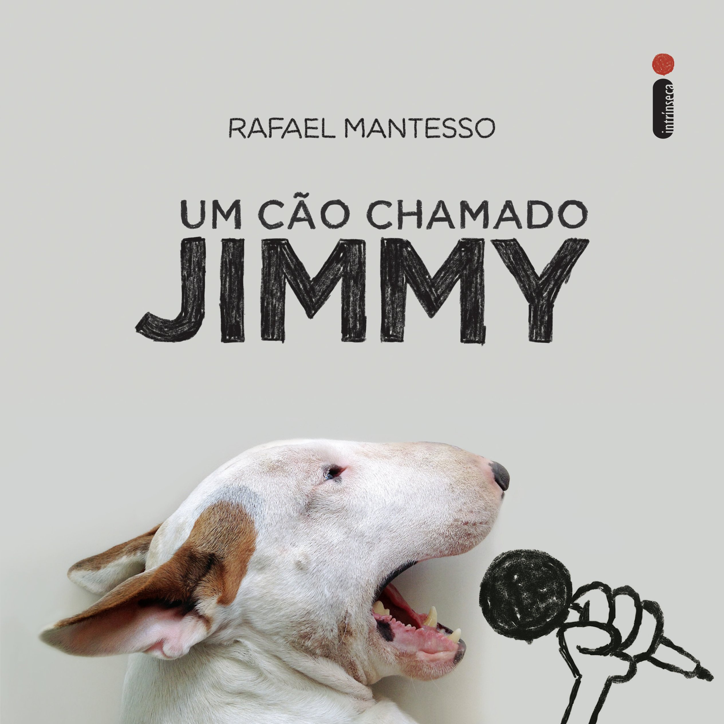 Um cão chamado Jimmy (Portuguese Edition)