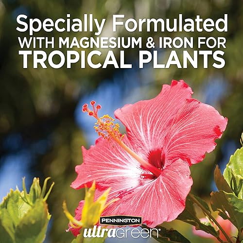 Miniatura 2 de Pennington 100540115 - Palmera ultra verde e Hibsicus 9-4-9 alimento para plantas, 5 libras, natural