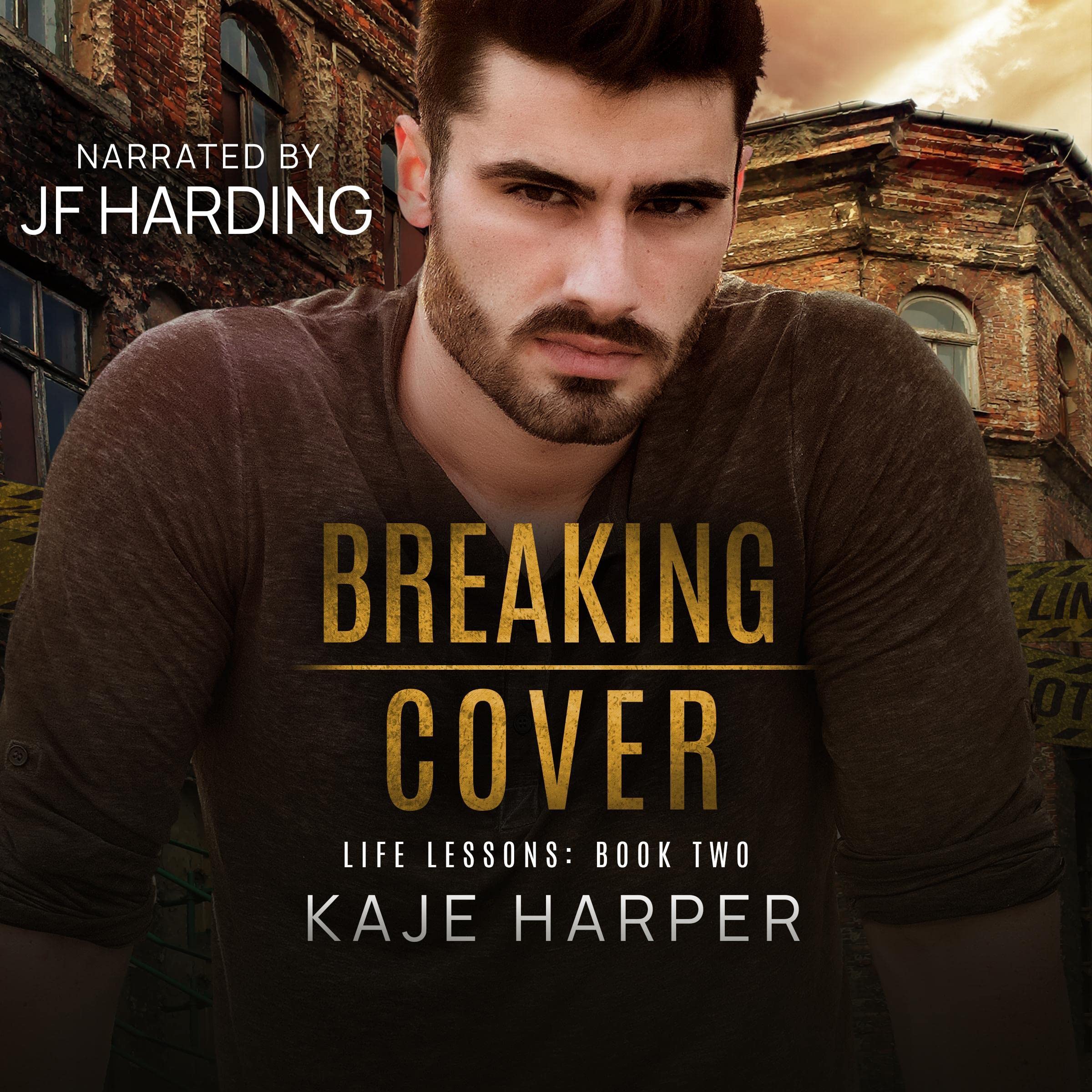 Cover art for Breaking Cover