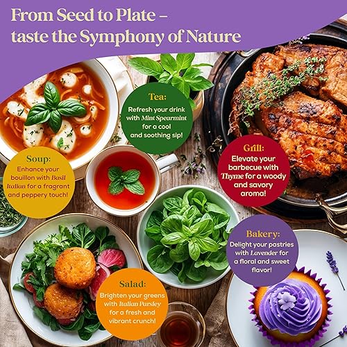 Miniatura 7 de Paquete variado de 25 semillas de hierbas culinarias, más de 13,055 semillas de hierbas tradicionales sin OMG para plantar en interiores y