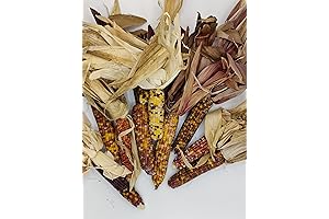 Mini Indian Corn Decoration - Autumn Harvest