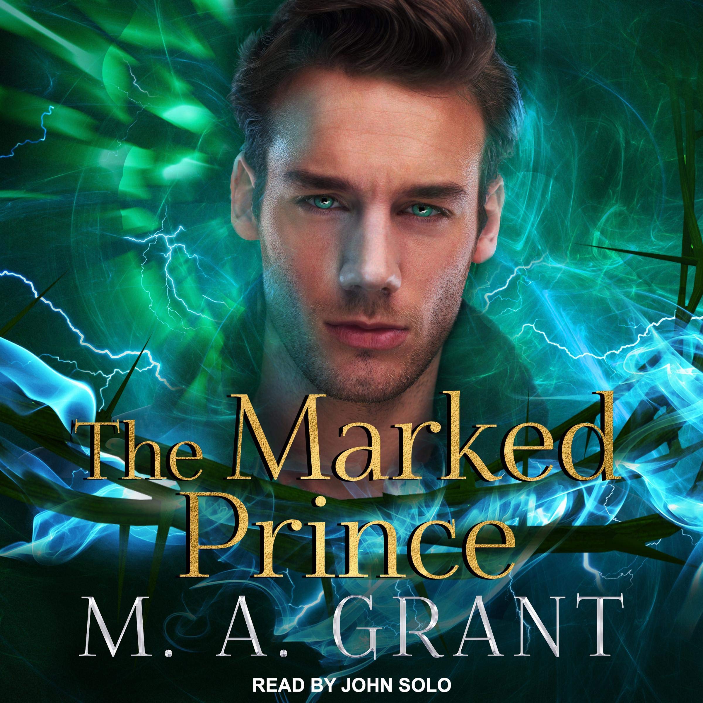 Cover art for The Marked Prince