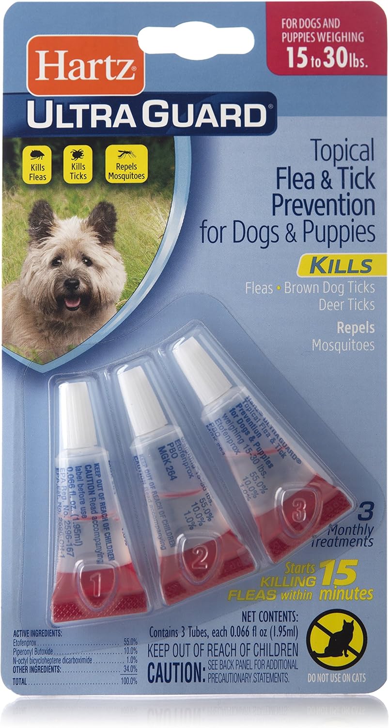cheap dog brushes