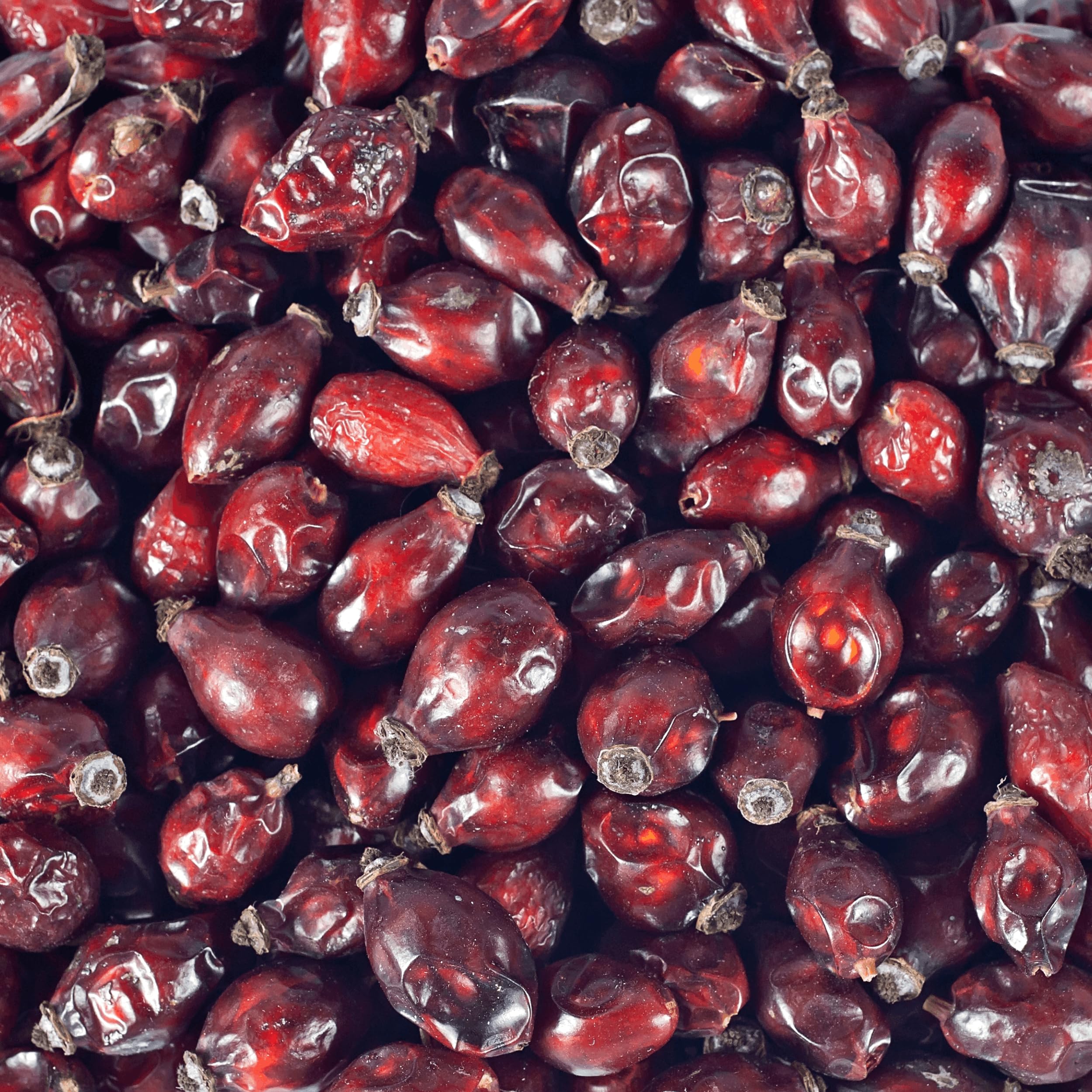 Supravit Hagebutten Pferd | Mit viel Vitamin C für Pferde und Ponys | 2kg Eimer I Ganze getrocknete Früchte - natürliche Pferdeleckerlis ohne Zucker | Erstklassige Qualität