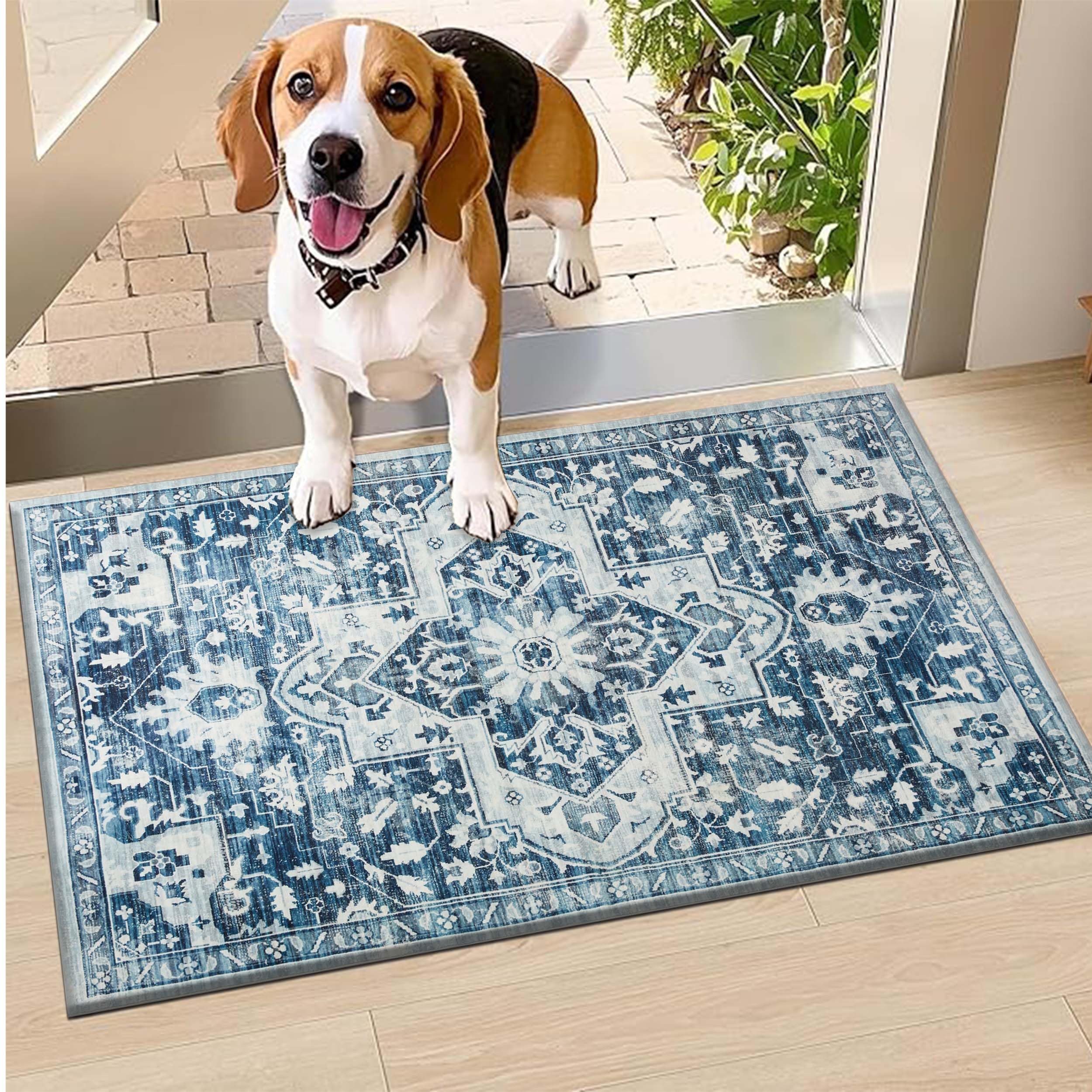 Hafaa Door Mat 40 x 60 cm – Tranquil Machine Washable Mat Super Soft Non Slip Doormat Indoor Outdoor Water Absorbent Floor Mats Heavy Duty Entrance Rug