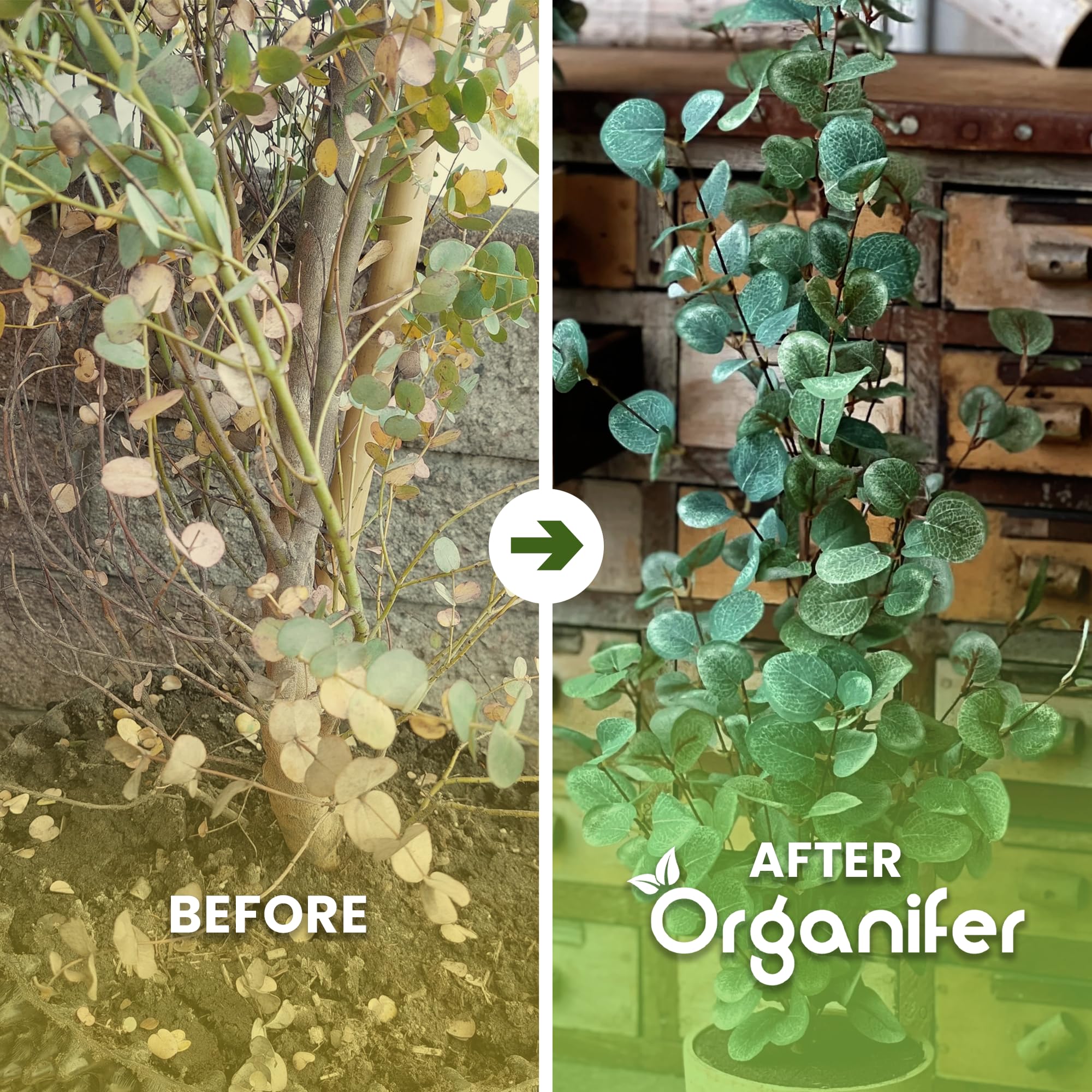 Fertilizante Líquido - 10L - Para Eucalipto - NPK 3-4-3 | Plantas Robustas Y Crecimiento Óptimo - Organifer