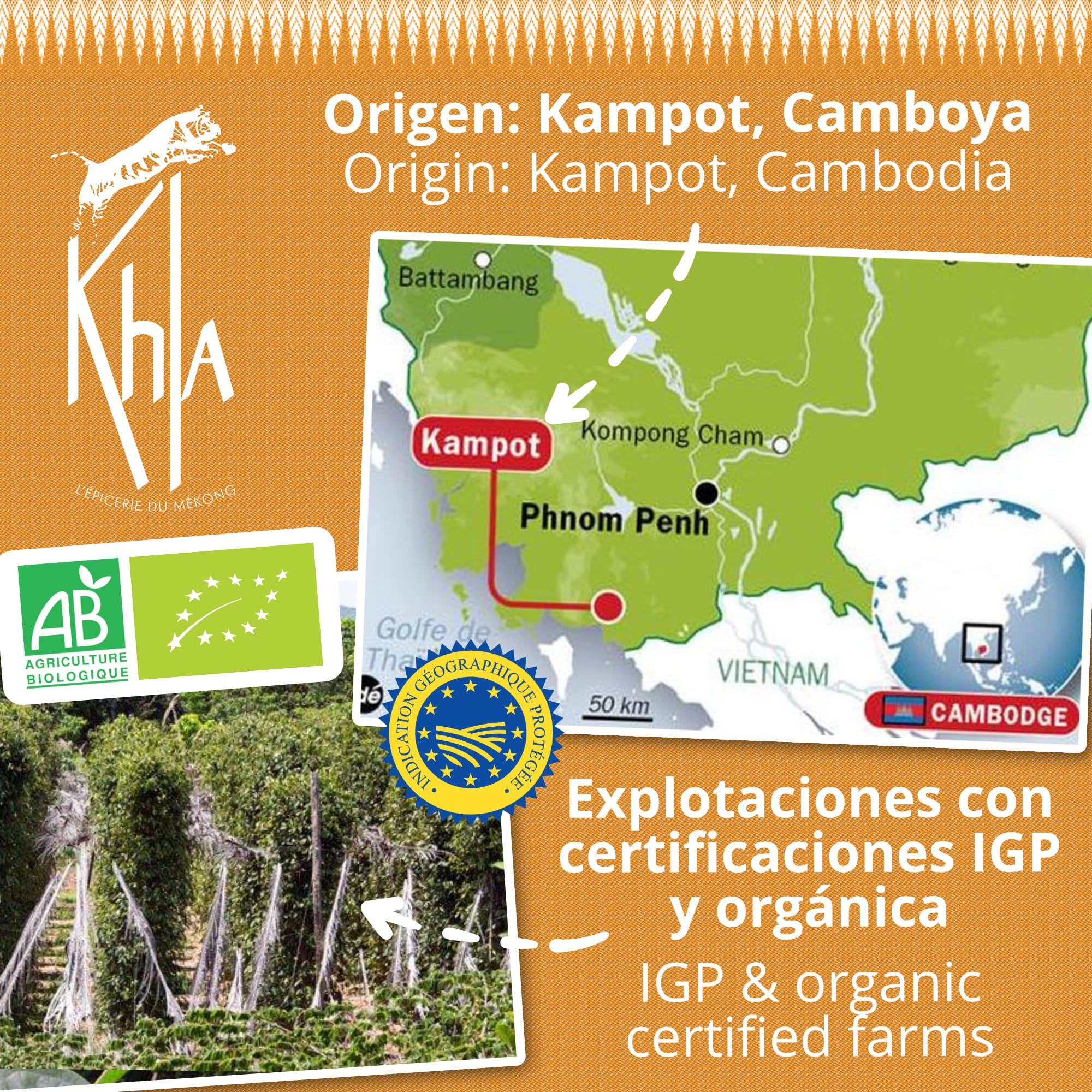 Khla - Pimienta Blanca de Kampot Orgánica 200g - Pimienta en Grano - Fuerte y Potente - Ingrediente de Cocina - Directo del Productor - Especia Asiática - Origen Camboya