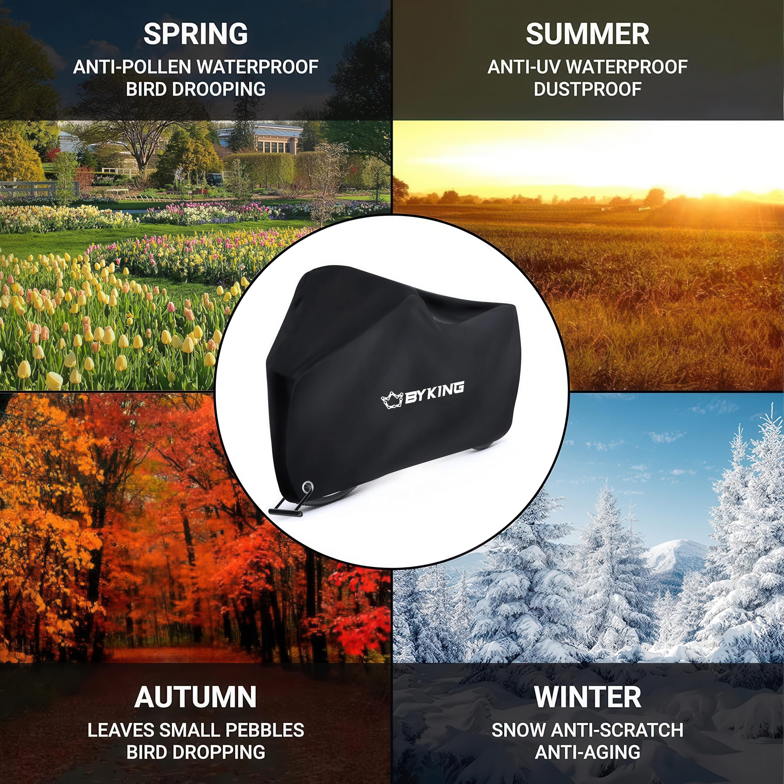 View 4