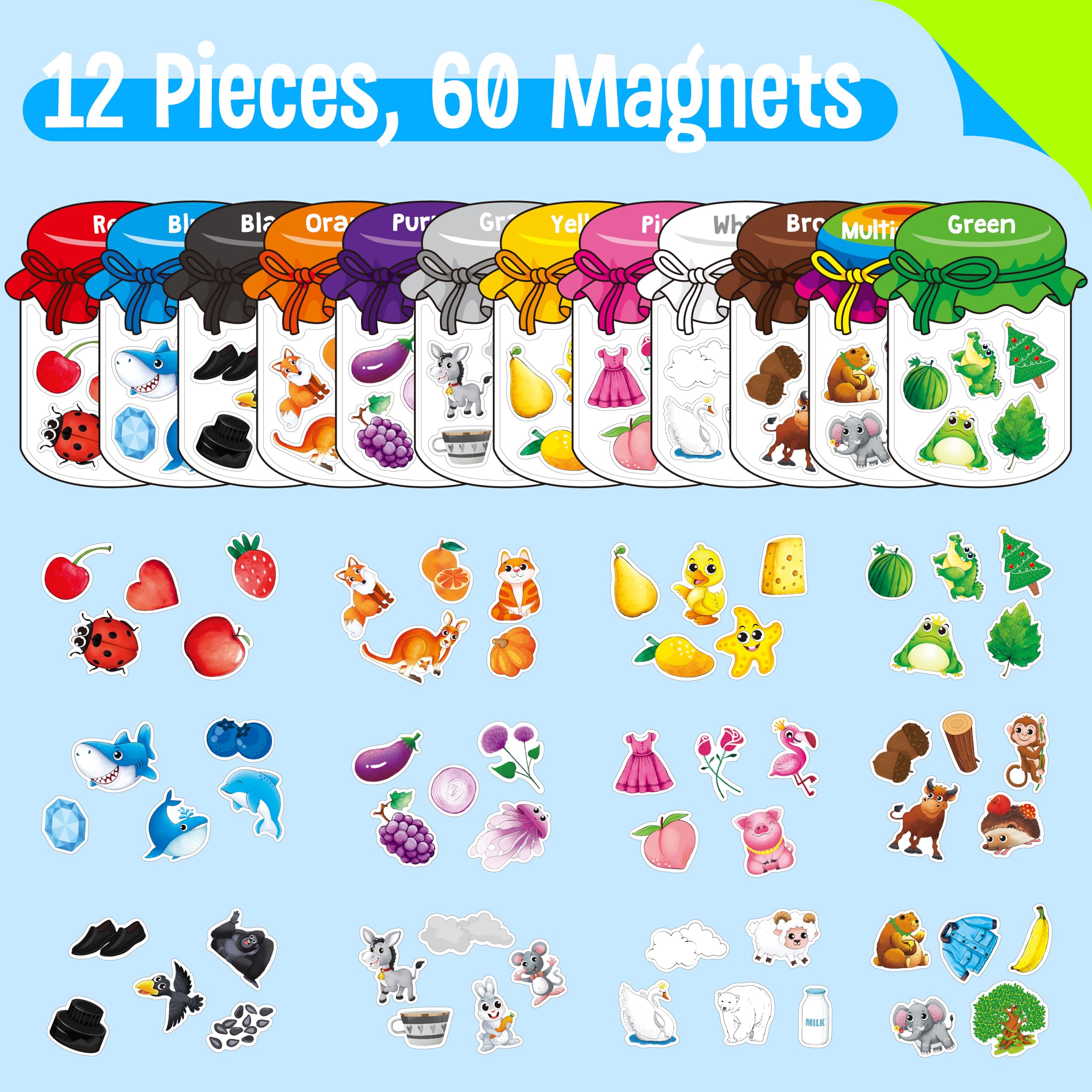 Amazon.com: 12 Pieces Magnetic Color Sorting Toys, 60 Color