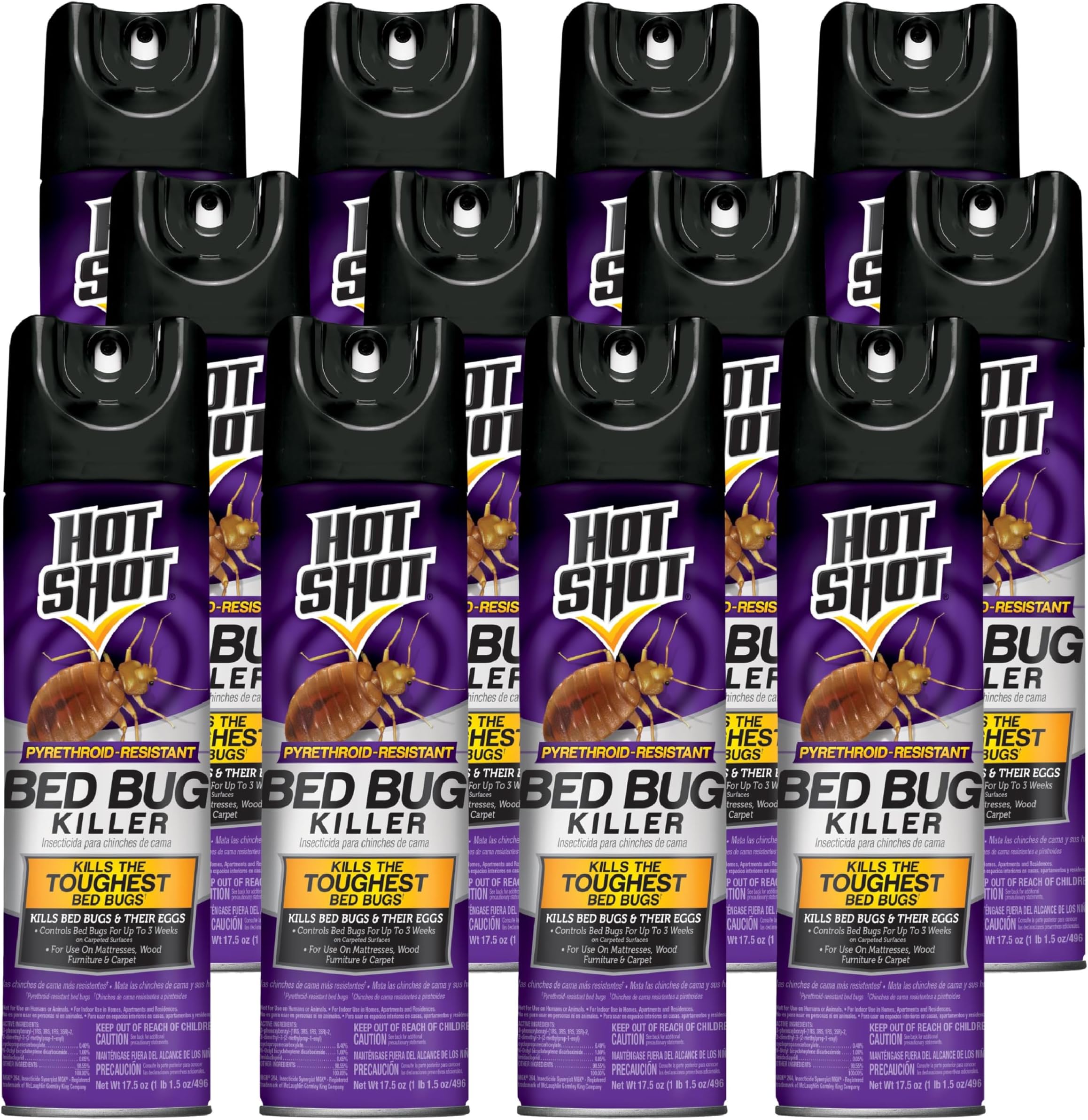 Bed Bug Killer Aerosol, Case Pack of 12