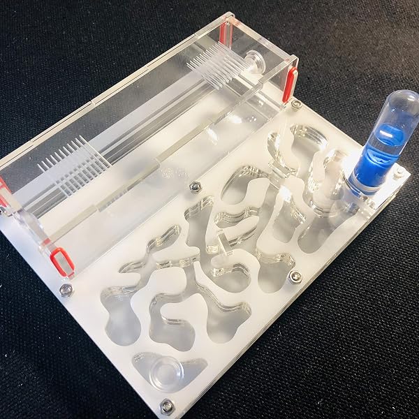 Formicarium Naturelle pour Ferme à Fourmis pour Tube à essai de Fourmis Live Humidité Grand Espace Nid de Fourmis en Acrylique, Fourmilière Insectes (White) - 2